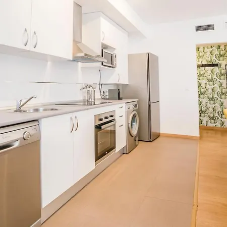 Apartamento Vtz El Balcon De Espoz Y Mina Ii *